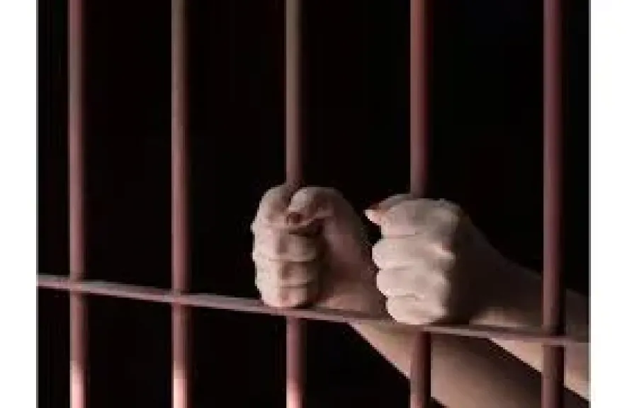 السجن 3 سنوات لـ3 متهمين في قضية اتجار