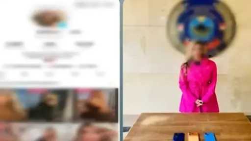 جرائم إلكترونية