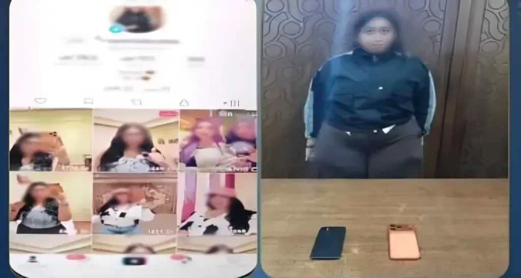 جرائم إلكترونية