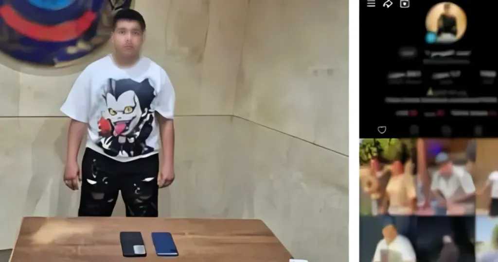 جرائم إلكترونية