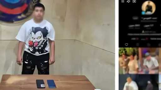 جرائم إلكترونية