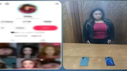 جرائم إلكترونية