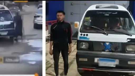 جرائم إلكترونية