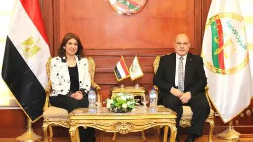 الرأي العام