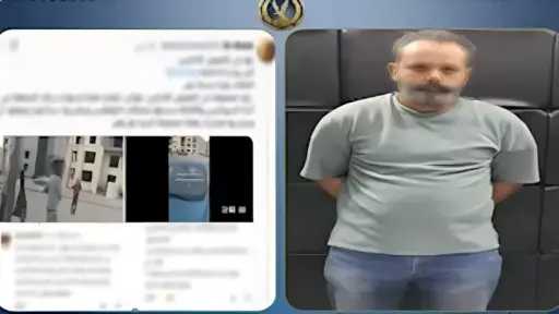 جرائم إلكترونية