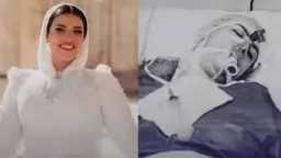 محاكم