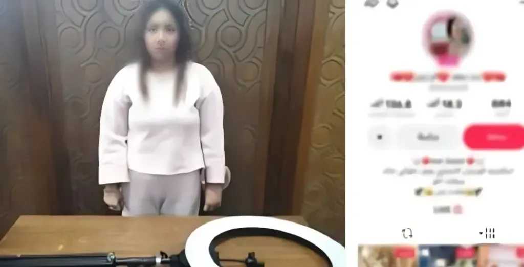 جرائم إلكترونية