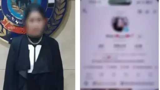جرائم إلكترونية
