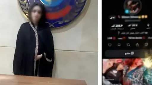 جرائم إلكترونية