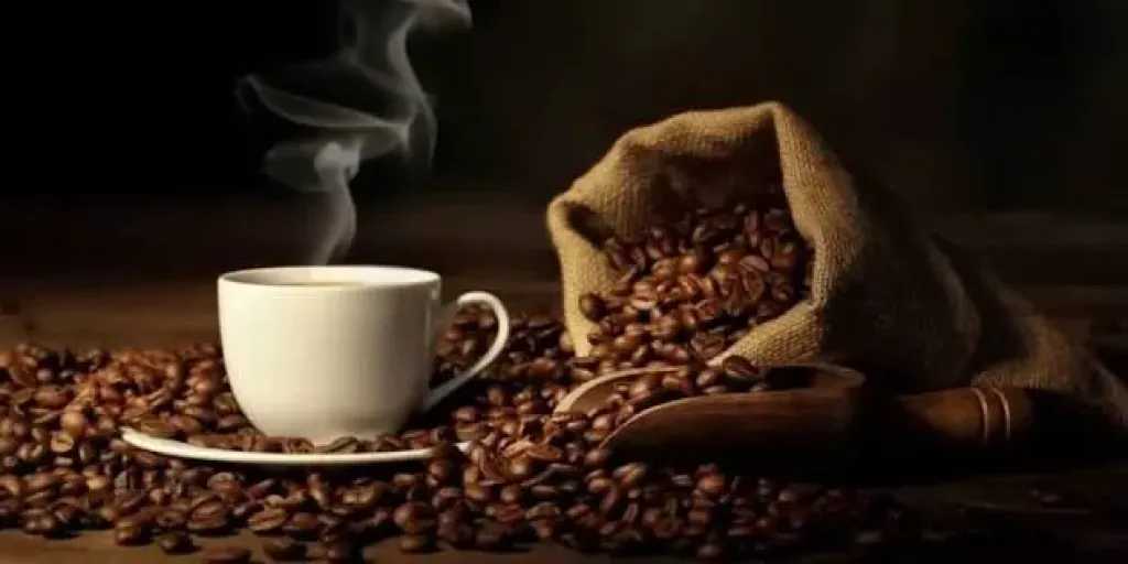متنوعات
