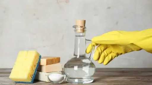 متنوعات