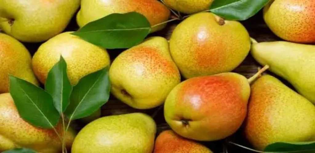 متنوعات