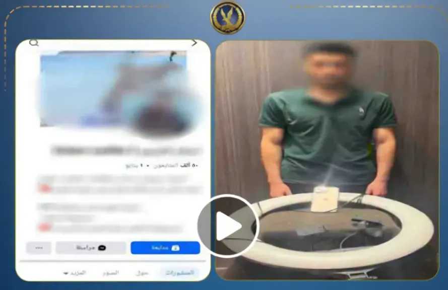 جرائم إلكترونية