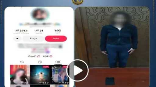 جرائم إلكترونية