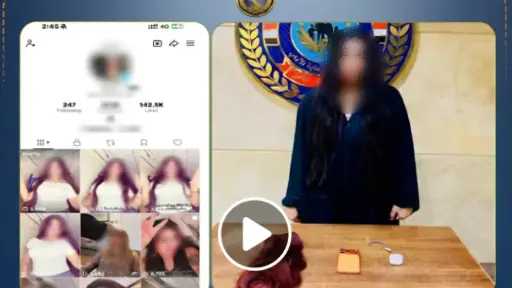 جرائم إلكترونية