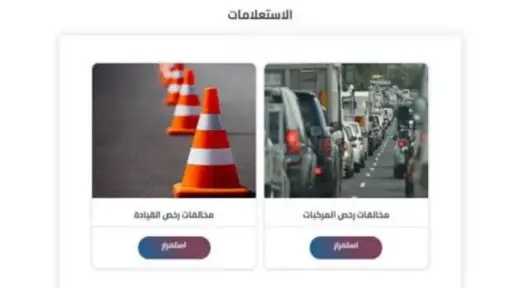الرأي العام
